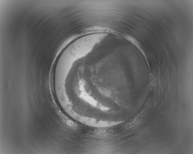 X0000056351098200509161755