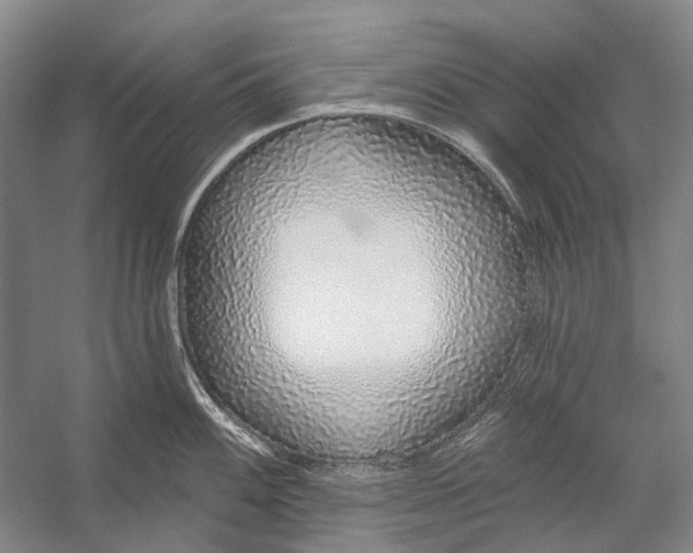 X0000056351100200509161755