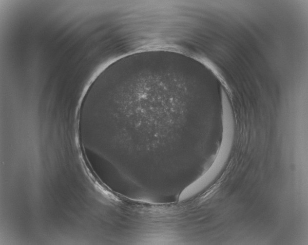 X0000056351102200509161755