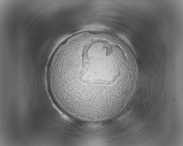 X0000056351103200509161755