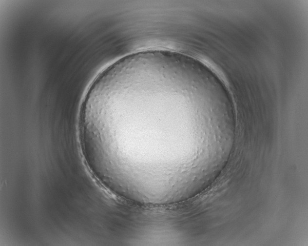 X0000056351104200509161755