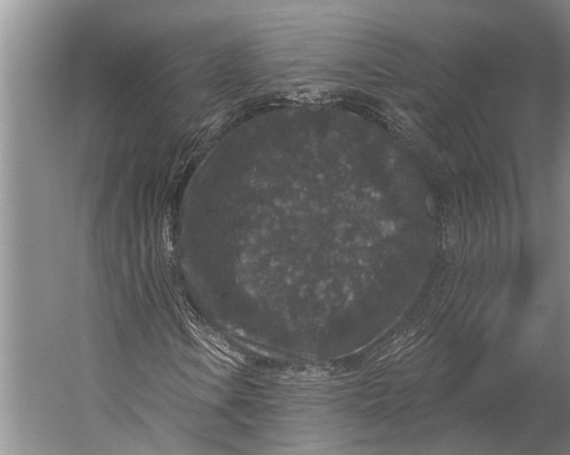 X0000056351106200509161754