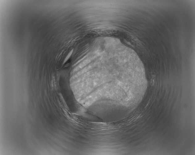 X0000056351108200509161754