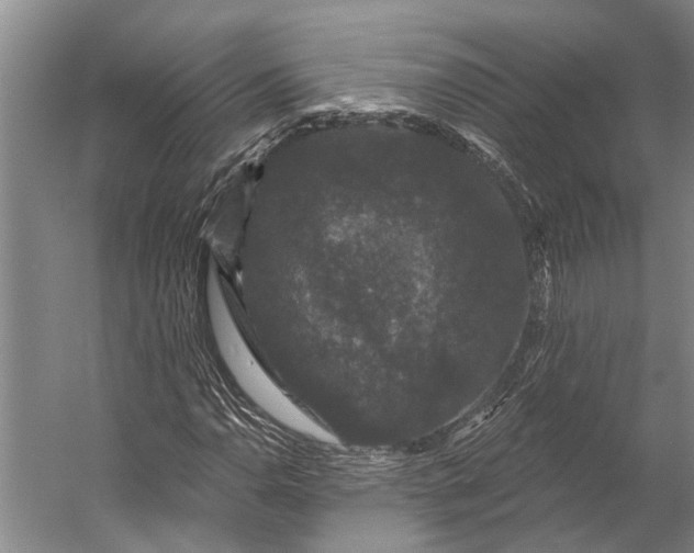 X0000056351110200509161754