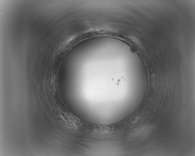 X0000056351111200509161754