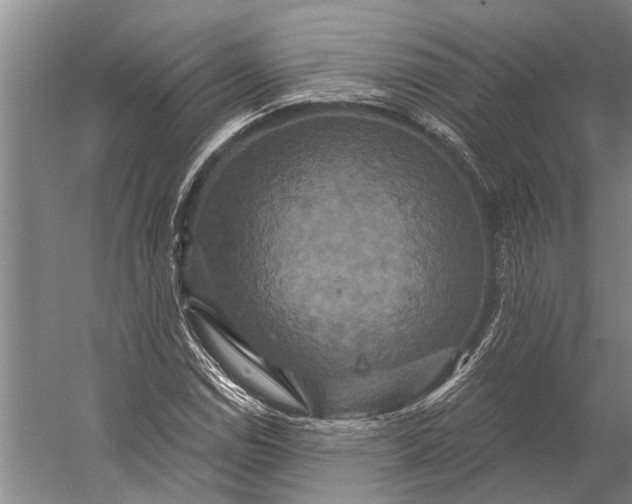 X0000056351114200509161754