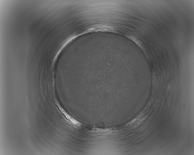 X0000056351115200509161754