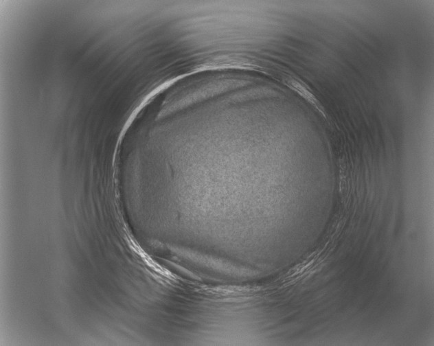 X0000056351116200509161755