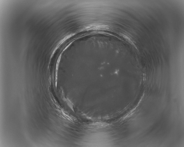 X0000056351117200509161755