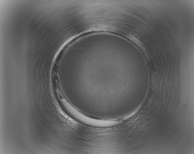 X0000056351120200509161755