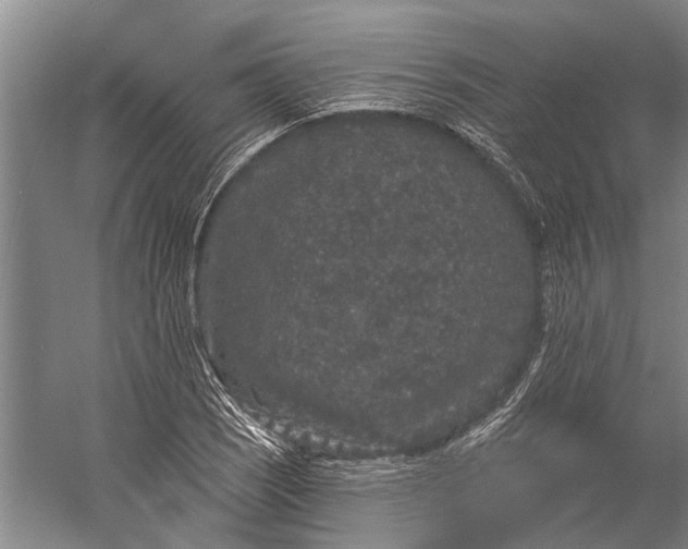 X0000056351121200509161755