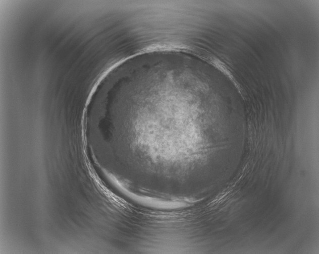 X0000056351124200509161755