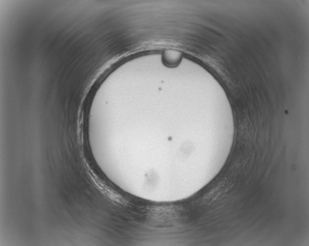 X0000056351126200509161755