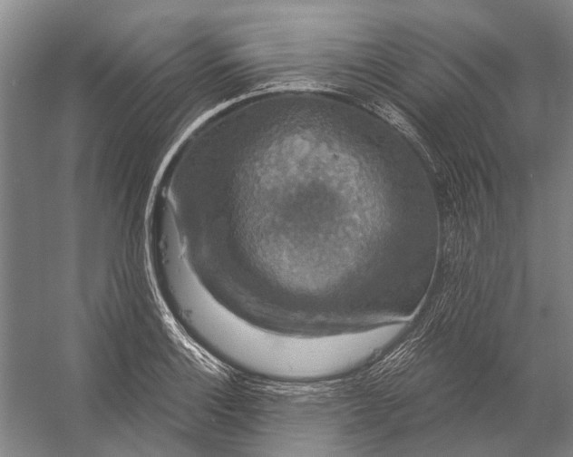 X0000056351132200509161755