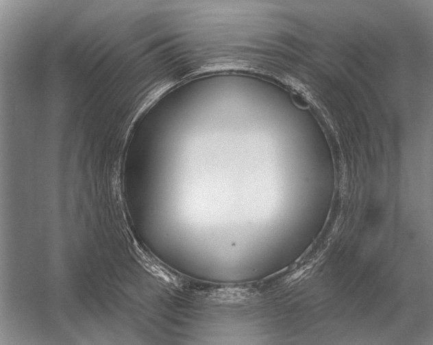 X0000056351137200509161755