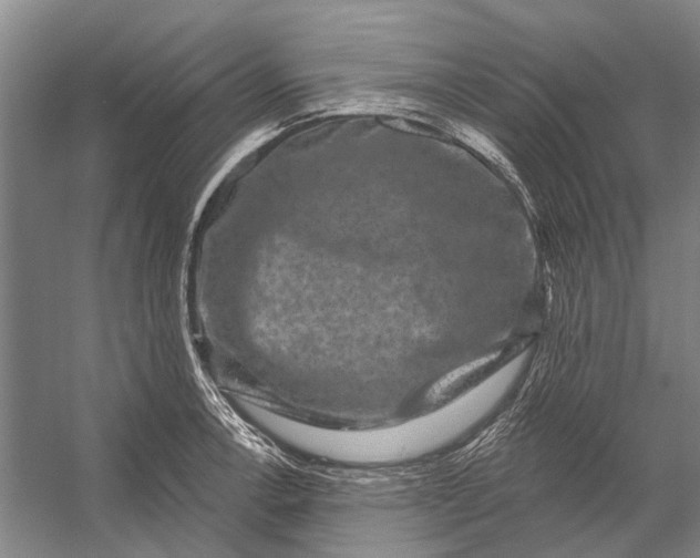 X0000056351138200509161755