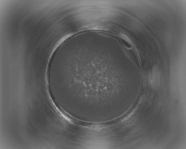 X0000056351141200509161755