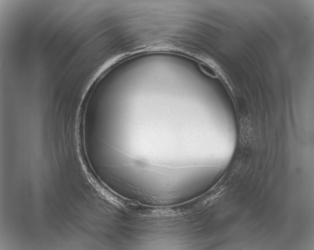 X0000056351142200509161755