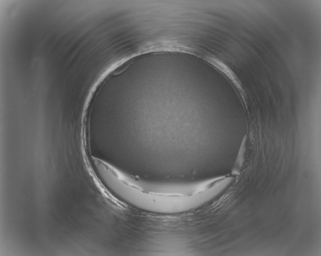 X0000056351144200509161755