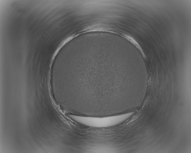 X0000056351146200509161755