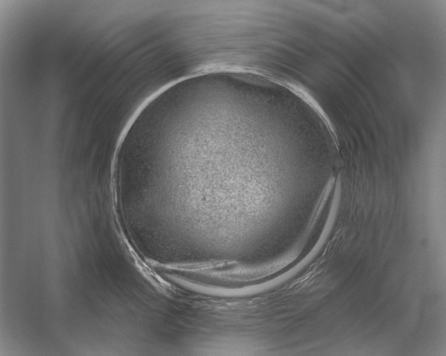 X0000056351148200509161755