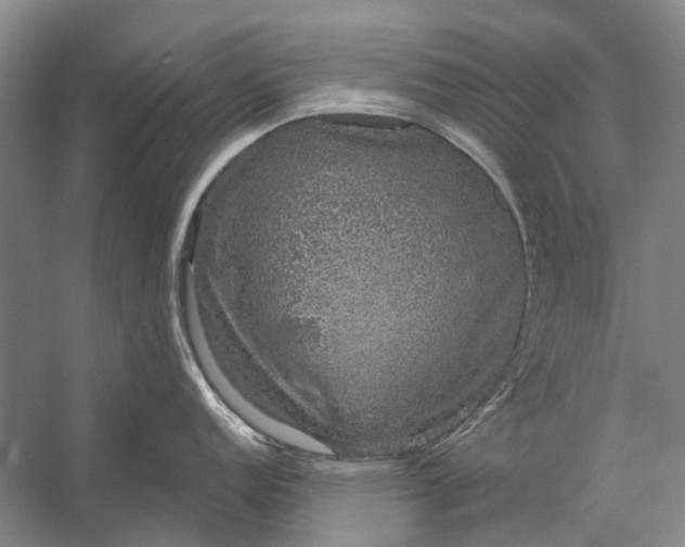 X0000056351152200509161755