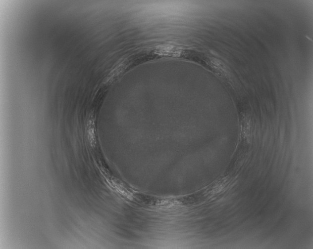 X0000056351154200509161754