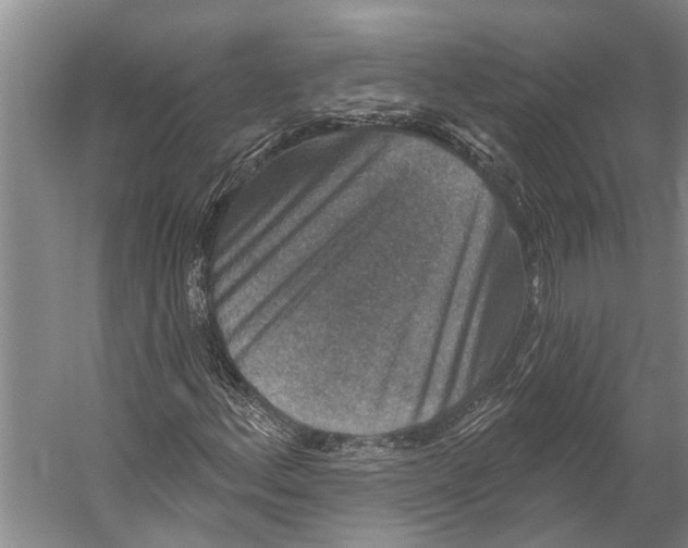 X0000056351156200509161754