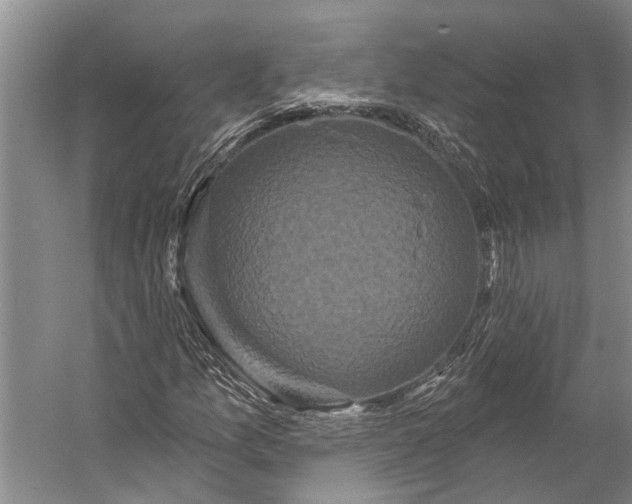 X0000056351157200509161754