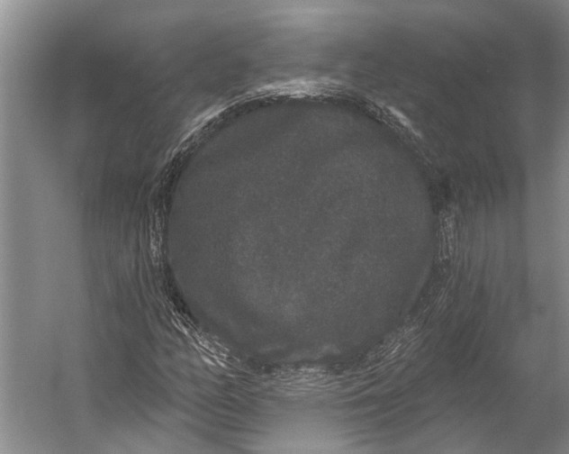 X0000056351158200509161754