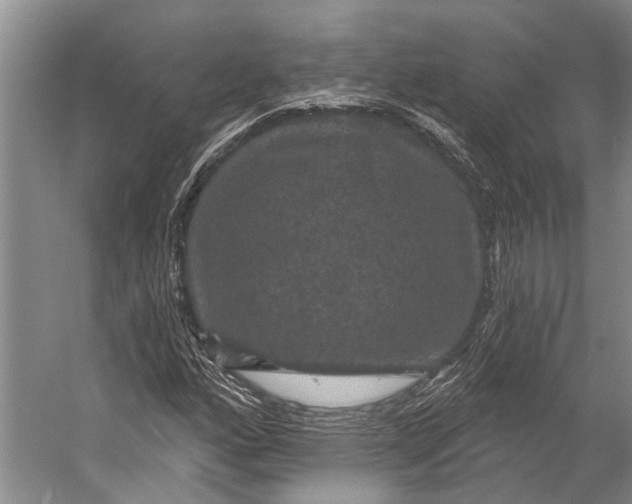 X0000056351160200509161754