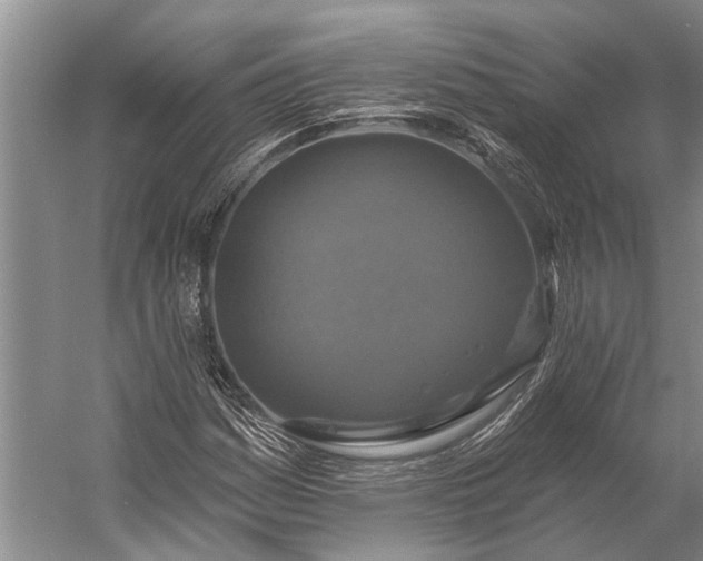 X0000056351161200509161754