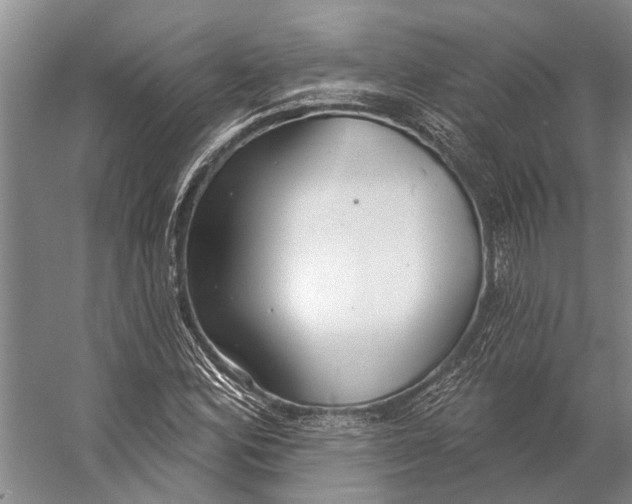 X0000056351164200509161754