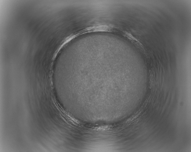 X0000056351166200509161754