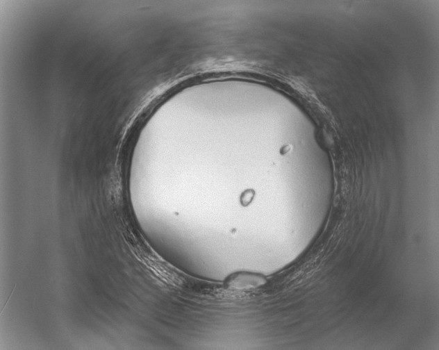 X0000056351167200509161754