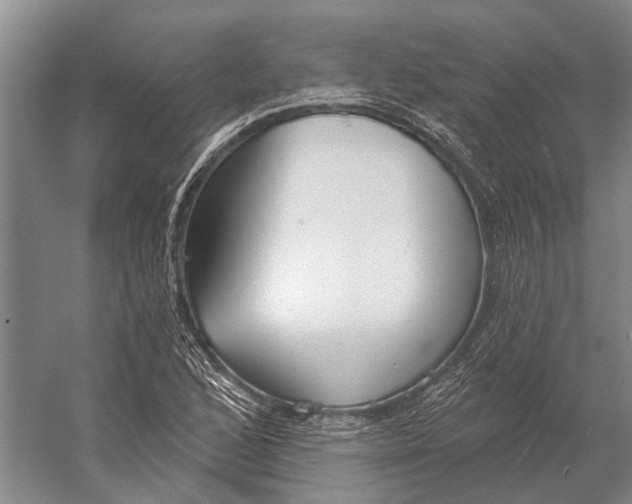 X0000056351168200509161754