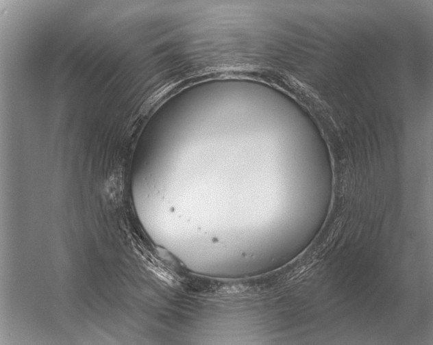 X0000056351169200509161754