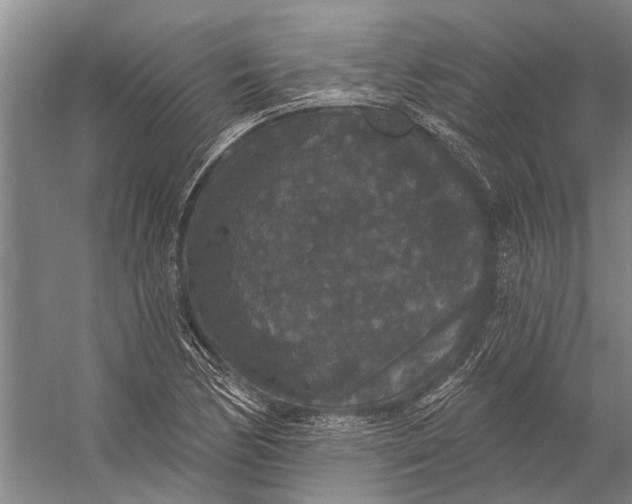 X0000056351170200509161754