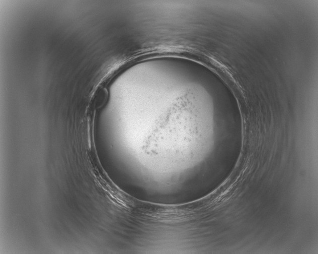 X0000056351171200509161754