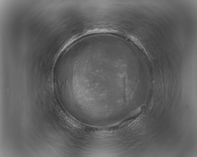 X0000056351173200509161754