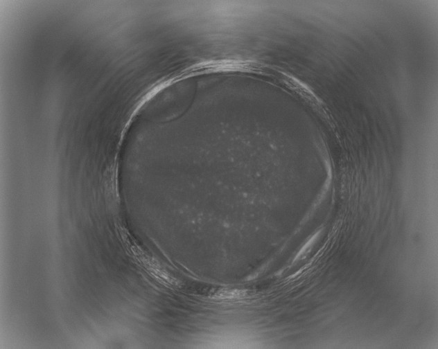 X0000056351174200509161754