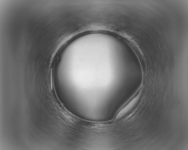 X0000056351175200509161754