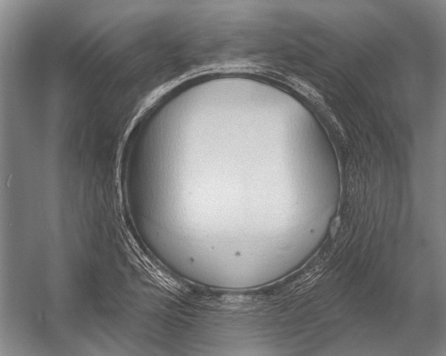 X0000056351176200509161754