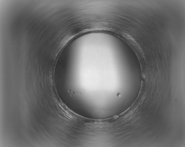 X0000056351177200509161754