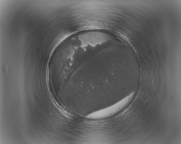 X0000056351179200509161754