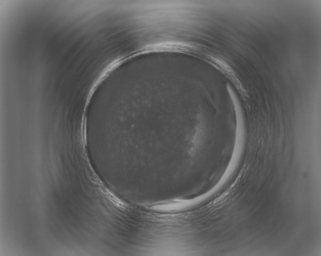 X0000056351180200509161754