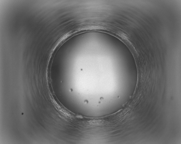 X0000056351181200509161754