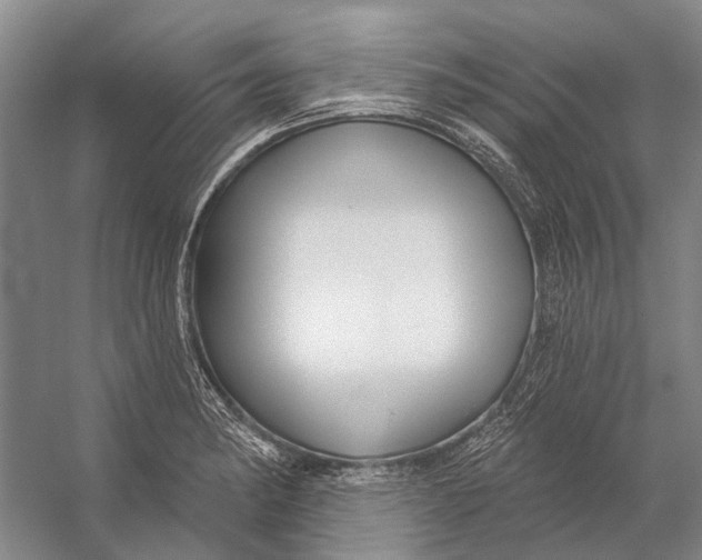 X0000056351182200509161754