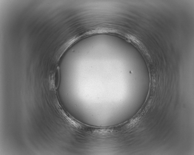 X0000056351185200509161754