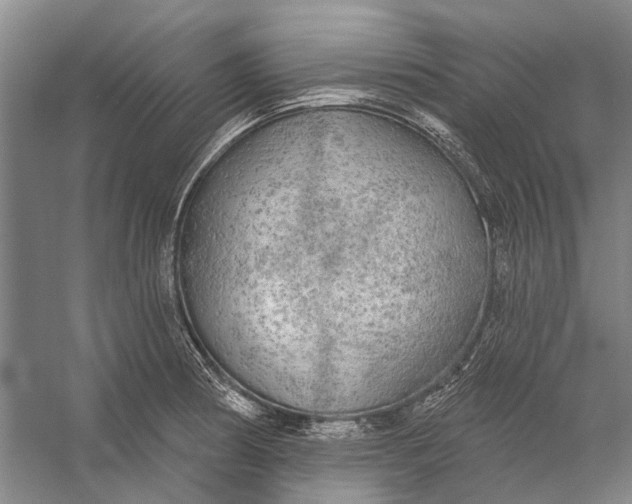 X0000056351186200509161754